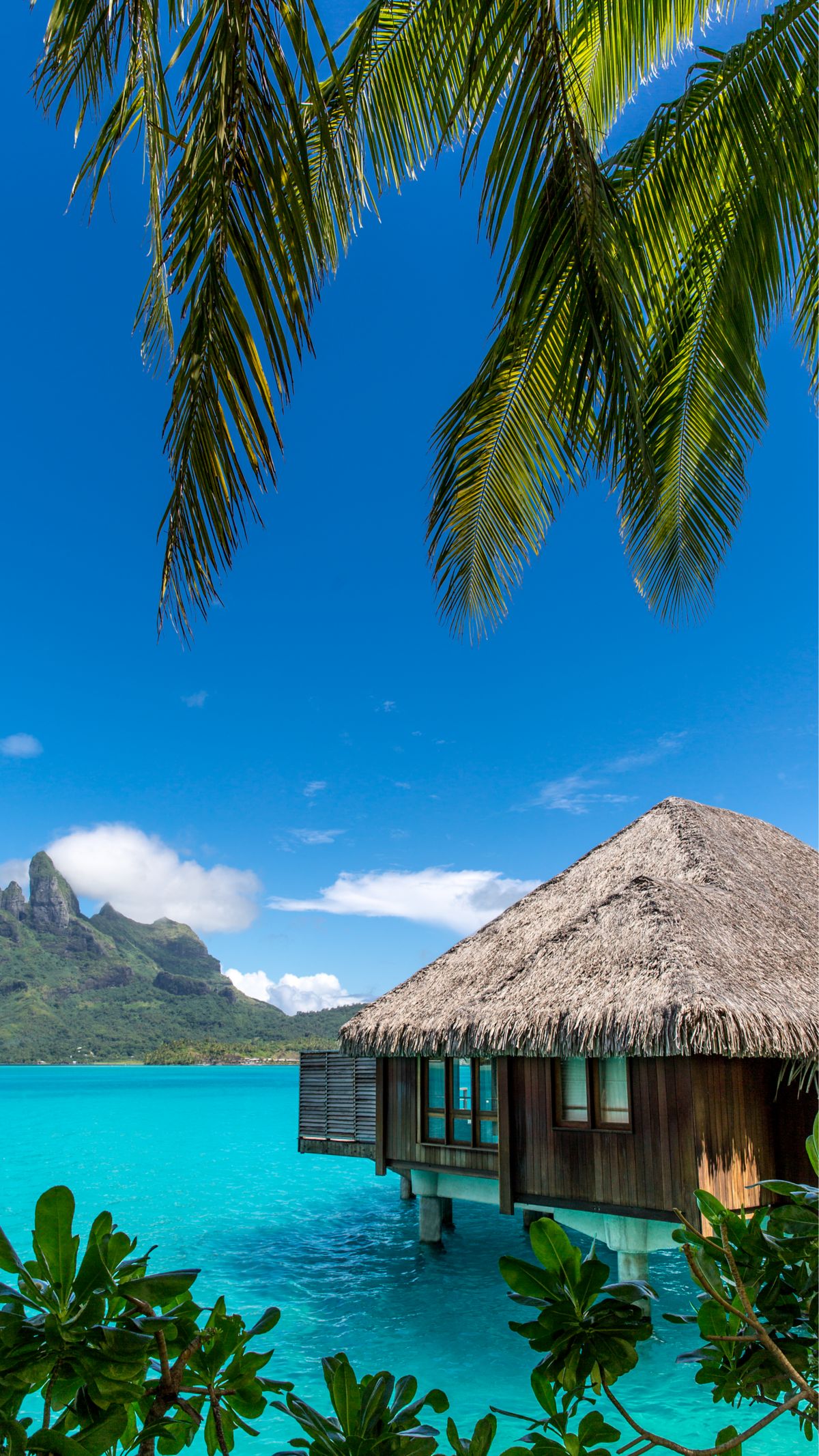 The St. Regis Bora Bora Resort
